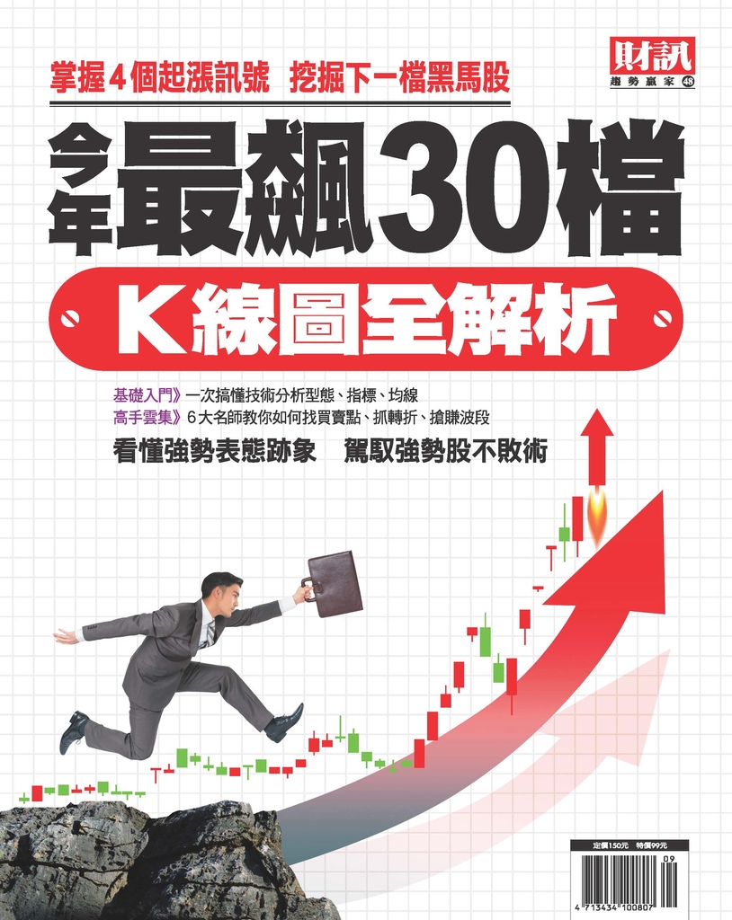 趨勢贏家48-今年最飆30檔 K線圖全解析