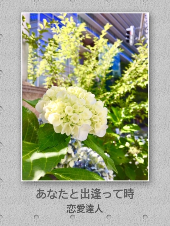 與你相遇-第三部曲-戀愛聖手(繁體中文譯版)