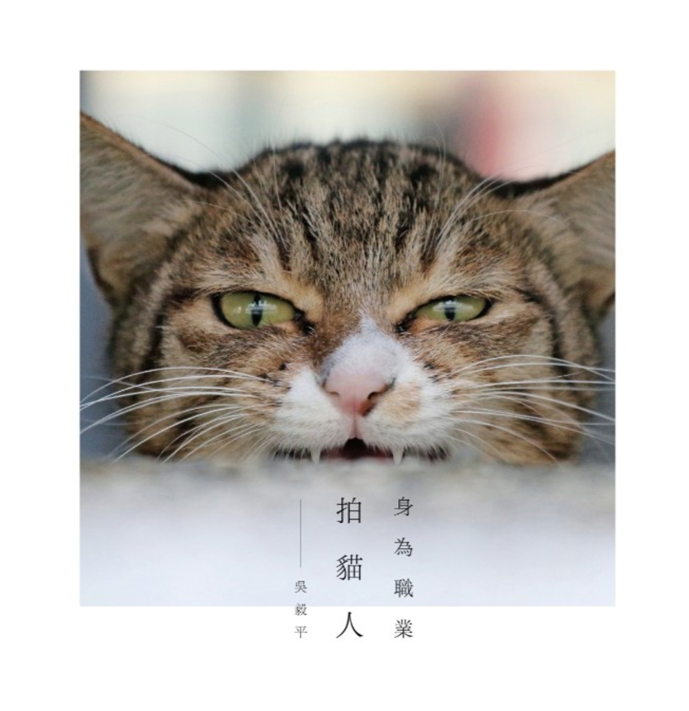 身為職業拍貓人