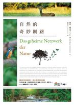 自然的奇妙網路 自然的奇妙網路