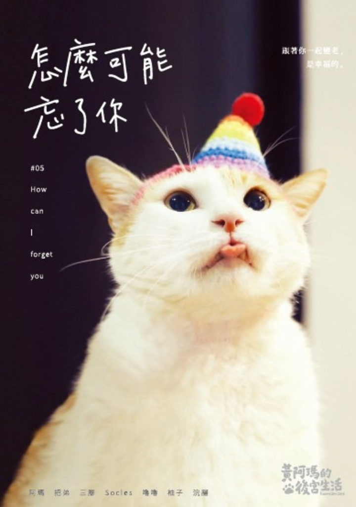 黃阿瑪的後宮生活:怎麼可能忘了你