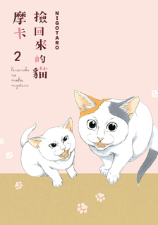 撿回來的貓 摩卡 (2) 撿回來的貓 摩卡 (2)