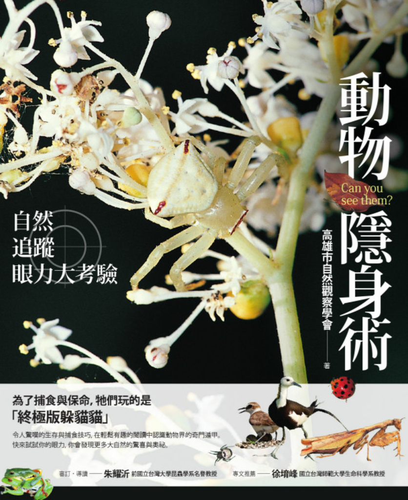 動物隱身術:自然追蹤眼力大考驗