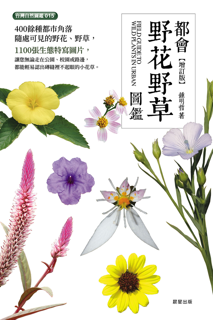 都會野花野草圖鑑【增訂版】