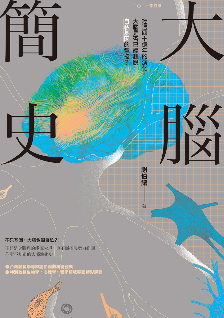 大腦簡史