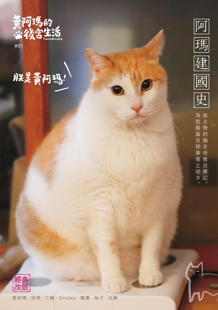 黃阿瑪的後宮生活:阿瑪建國史(經典改版)