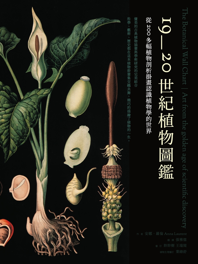 19~20世紀植物圖鑑:從200多幅植物剖析掛畫認識植物學的世界