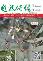 自然保健月刊  461期-烏金石