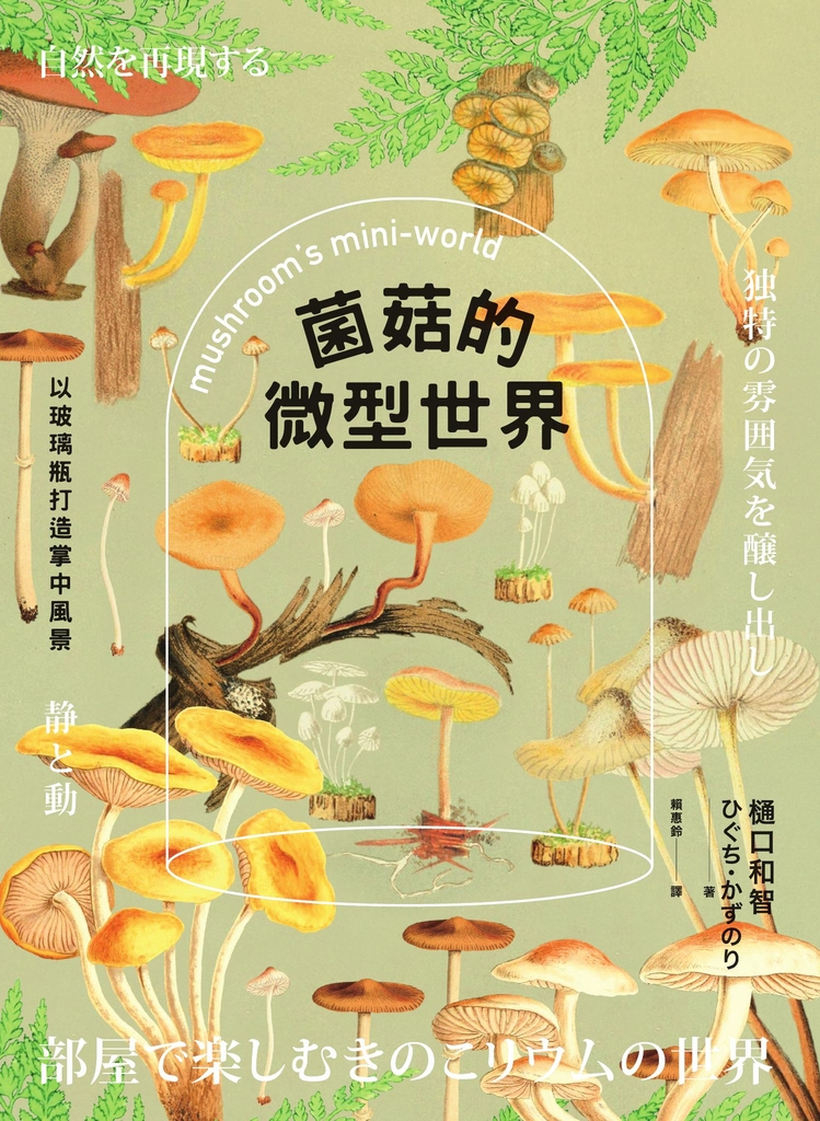 菌菇的微型世界