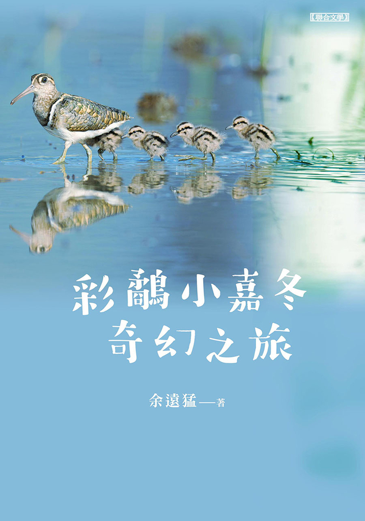 彩鷸小嘉冬奇幻之旅