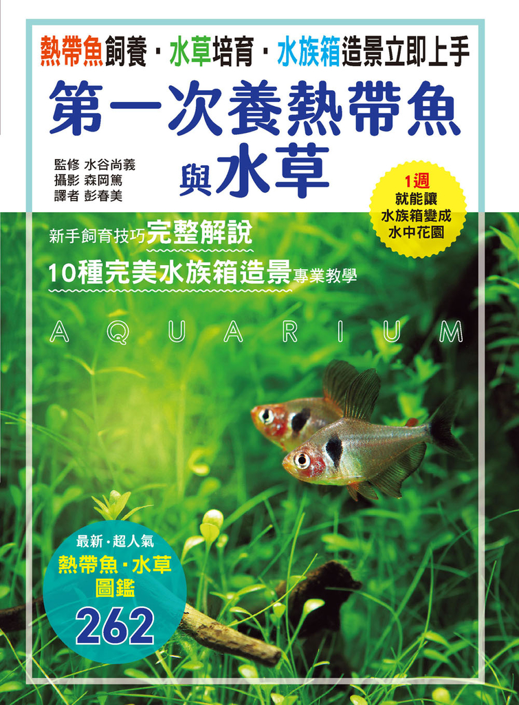 第一次養熱帶魚與水草