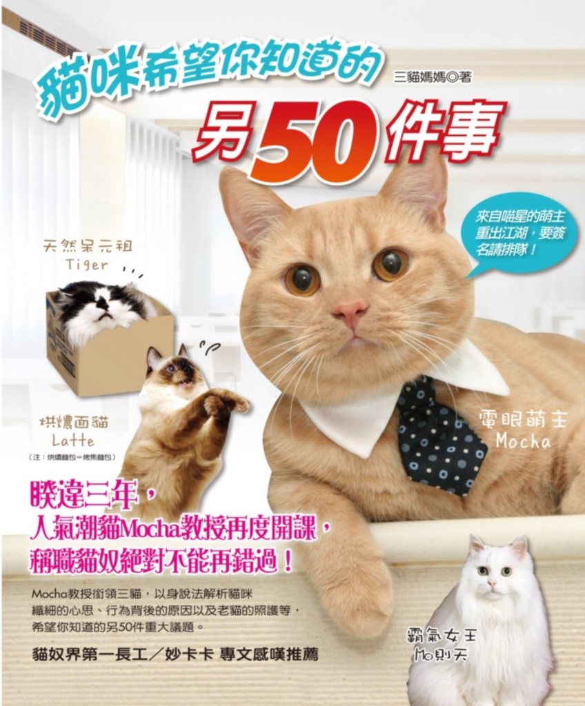 貓咪希望你知道的另50件事