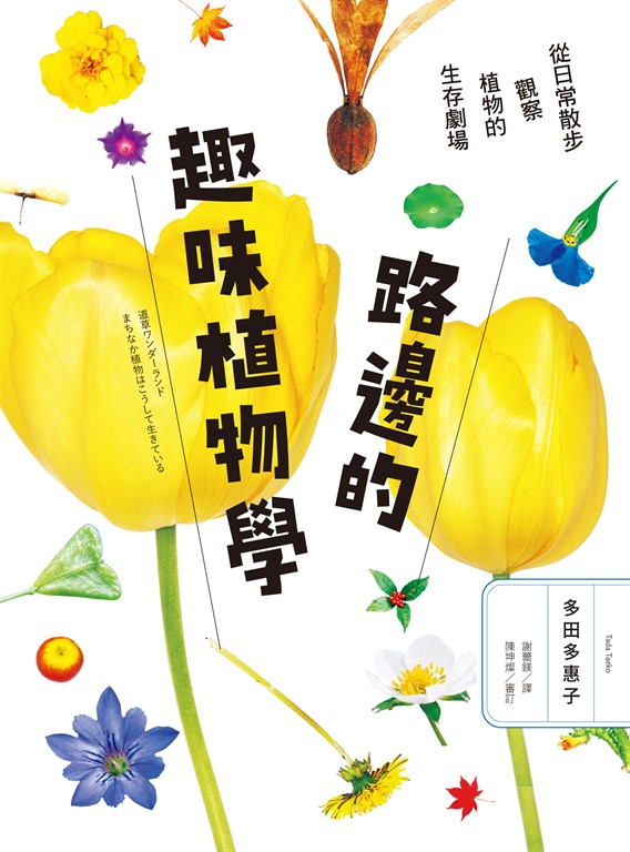 路邊的趣味植物學:從日常散步觀察植物的生存劇場