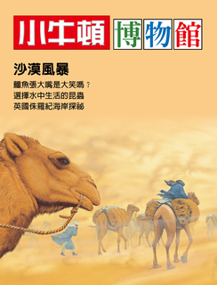 小牛頓博物館：沙漠風暴