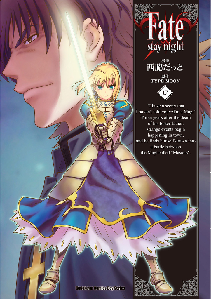 Fate/stay night (17)